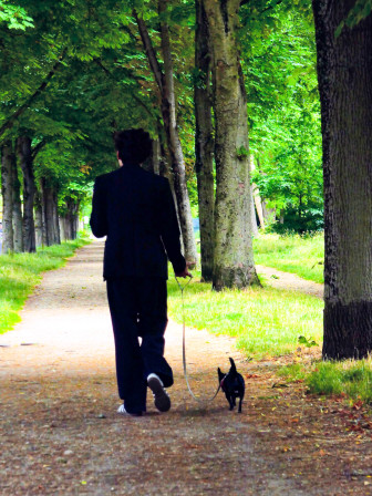 Un jeune homme, de dos, très élégant promène un chien minuscule à l'ombre des arbres dans le bois de Boulogne