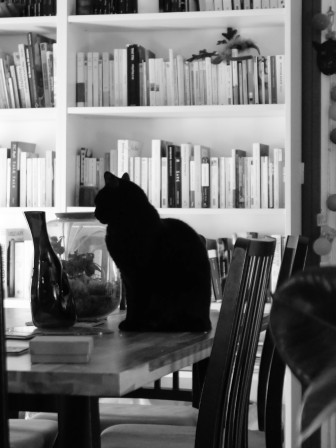 La silhouette noire de Maïa, illégalement le cul posé sur la table, au fond, une des Billy du salon, pleine de livres. Version n&b.